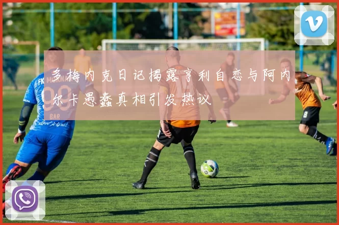 多梅内克日记揭露亨利自恋与阿内尔卡愚蠢真相引发热议