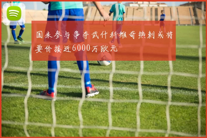 国米参与争夺武什科维奇热刺或将要价接近6000万欧元